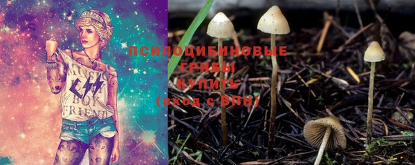крисы Михайловка