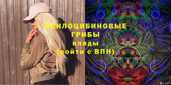 амф Михайловск
