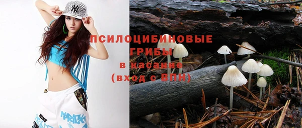 крисы Михайловка