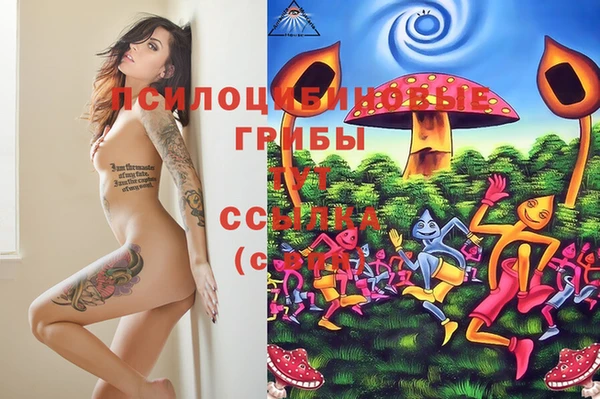 крисы Михайловка
