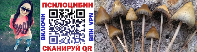 нарко площадка какой сайт  даркнет сайт  Челябинск  Псилоцибиновые грибы MAGIC MUSHROOMS 